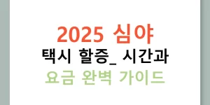 2025 심야 택시 할증: 시간과 요금 완벽 가이드