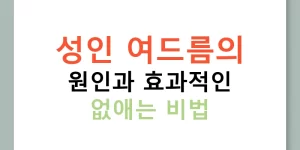 성인 여드름의 원인과 효과적인 없애는 비법
