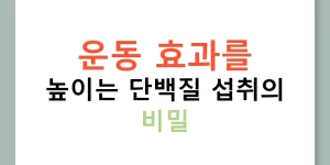 운동 효과를 높이는 단백질 섭취의 비밀