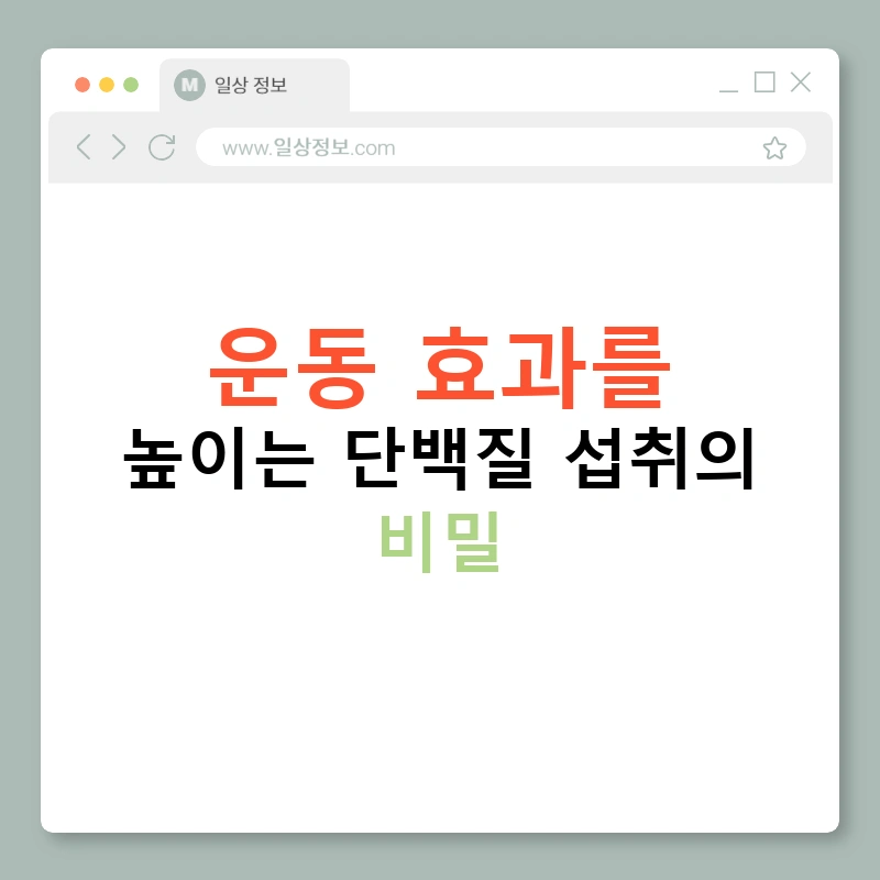 운동 효과를 높이는 단백질 섭취의 비밀