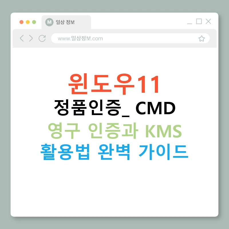 윈도우11 정품인증: CMD 영구 인증과 KMS 활용법 완벽 가이드