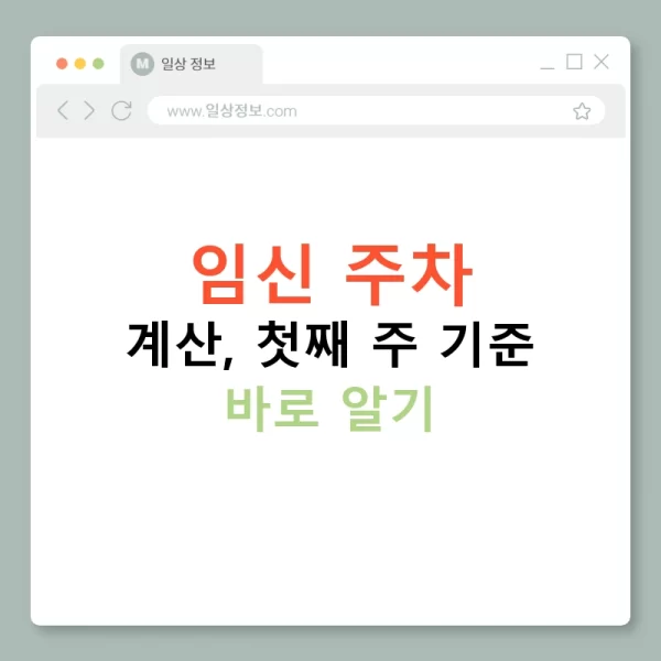 임신 주차 계산, 첫째 주 기준 바로 알기