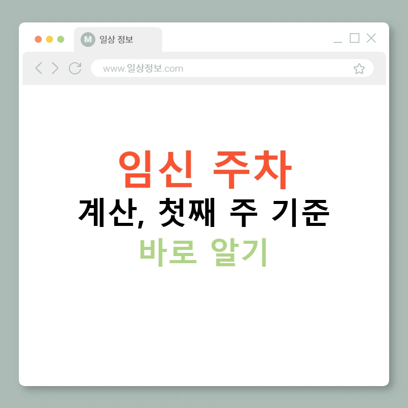 임신 주차 계산, 첫째 주 기준 바로 알기