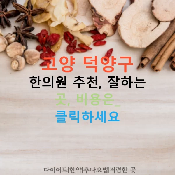 고양 덕양구 한의원 추천, 잘하는 곳, 비용은? 클릭하세요