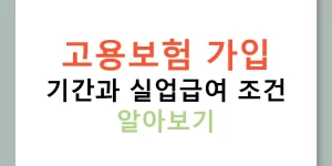 고용보험 가입 기간과 실업급여 조건 알아보기