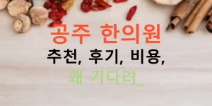 공주 한의원 추천, 후기, 비용, 왜 기다려?
