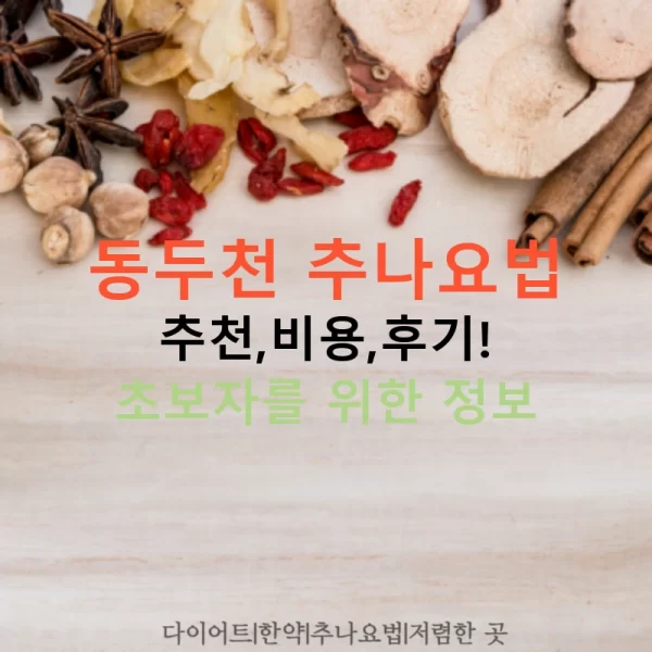 동두천 추나요법 추천,비용,후기! 초보자를 위한 정보