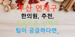 부산 연제구 한의원, 추천, 치료비용, 선택의 팁이 궁금하다면?