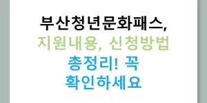 부산청년문화패스, 지원내용, 신청방법 총정리! 꼭 확인하세요