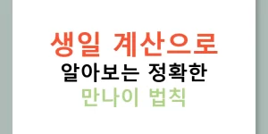 생일 계산으로 알아보는 정확한 만나이 법칙