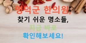 영덕군 한의원, 찾기 쉬운 명소들, 지금 바로 확인해보세요!