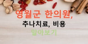 영월군 한의원, 추나치료, 비용 알아보기