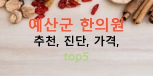 예산군 한의원 추천, 진단, 가격, top5