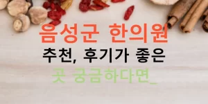 음성군 한의원 추천, 후기가 좋은 곳 궁금하다면?