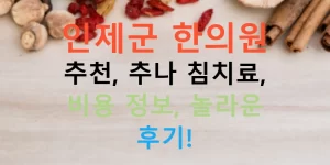 인제군 한의원 추천, 추나 침치료, 비용 정보, 놀라운 후기!
