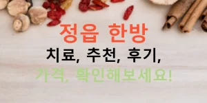 정읍 한방 치료, 추천, 후기, 가격, 확인해보세요!