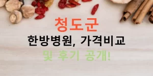 청도군 한방병원, 가격비교 및 후기 공개!