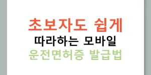 초보자도 쉽게 따라하는 모바일 운전면허증 발급법