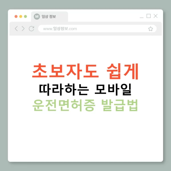 초보자도 쉽게 따라하는 모바일 운전면허증 발급법