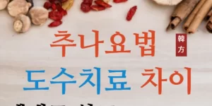 추나요법 도수치료 차이