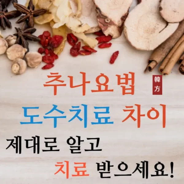 추나요법 도수치료 차이
