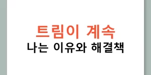 트림이 계속 나는 이유와 해결책