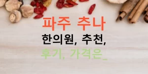파주 추나 한의원, 추천, 후기, 가격은?