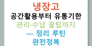 냉장고 공간활용부터 유통기한 관리·수납 꿀팁까지 — 정리 루틴 완전정복