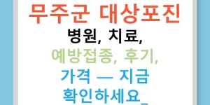 무주군 대상포진 병원, 치료, 예방접종, 후기, 가격 — 지금 확인하세요!