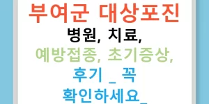 부여군 대상포진 병원, 치료, 예방접종, 초기증상, 후기 - 꼭 확인하세요!