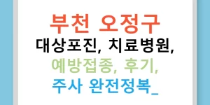 부천 오정구 대상포진, 치료병원, 예방접종, 후기, 주사 완전정복!