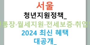 서울 청년지원정책: 청년통장·월세지원·전세보증·취업날개 2024 최신 혜택 대공개!