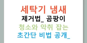 세탁기 냄새 제거법: 곰팡이 청소와 악취 잡는 초간단 비법 공개!