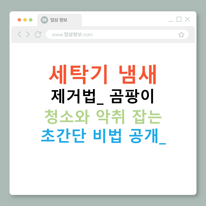 세탁기 냄새 제거법: 곰팡이 청소와 악취 잡는 초간단 비법 공개!