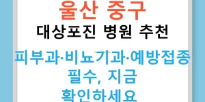 울산 중구 대상포진 병원 추천 — 피부과·비뇨기과·예방접종 필수, 지금 확인하세요!