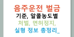 음주운전 벌금 기준, 알콜농도별 처벌, 면허정지, 실형 정보 총정리!