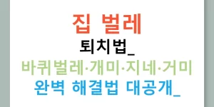 집 벌레 퇴치법: 바퀴벌레·개미·지네·거미 완벽 해결법 대공개!