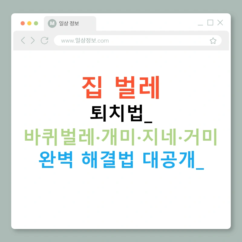 집 벌레 퇴치법: 바퀴벌레·개미·지네·거미 완벽 해결법 대공개!