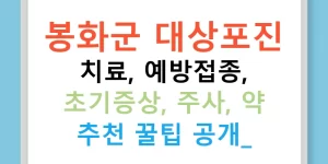 봉화군 대상포진 치료, 예방접종, 초기증상, 주사, 약 추천 꿀팁 공개!