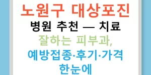 노원구 대상포진 병원 추천 — 치료 잘하는 피부과, 예방접종·후기·가격 한눈에